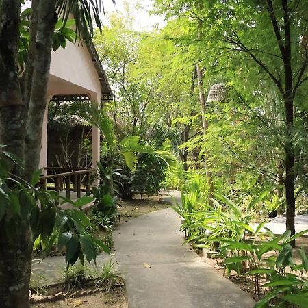 קפ Bird Of Paradise Bungalows מראה חיצוני תמונה