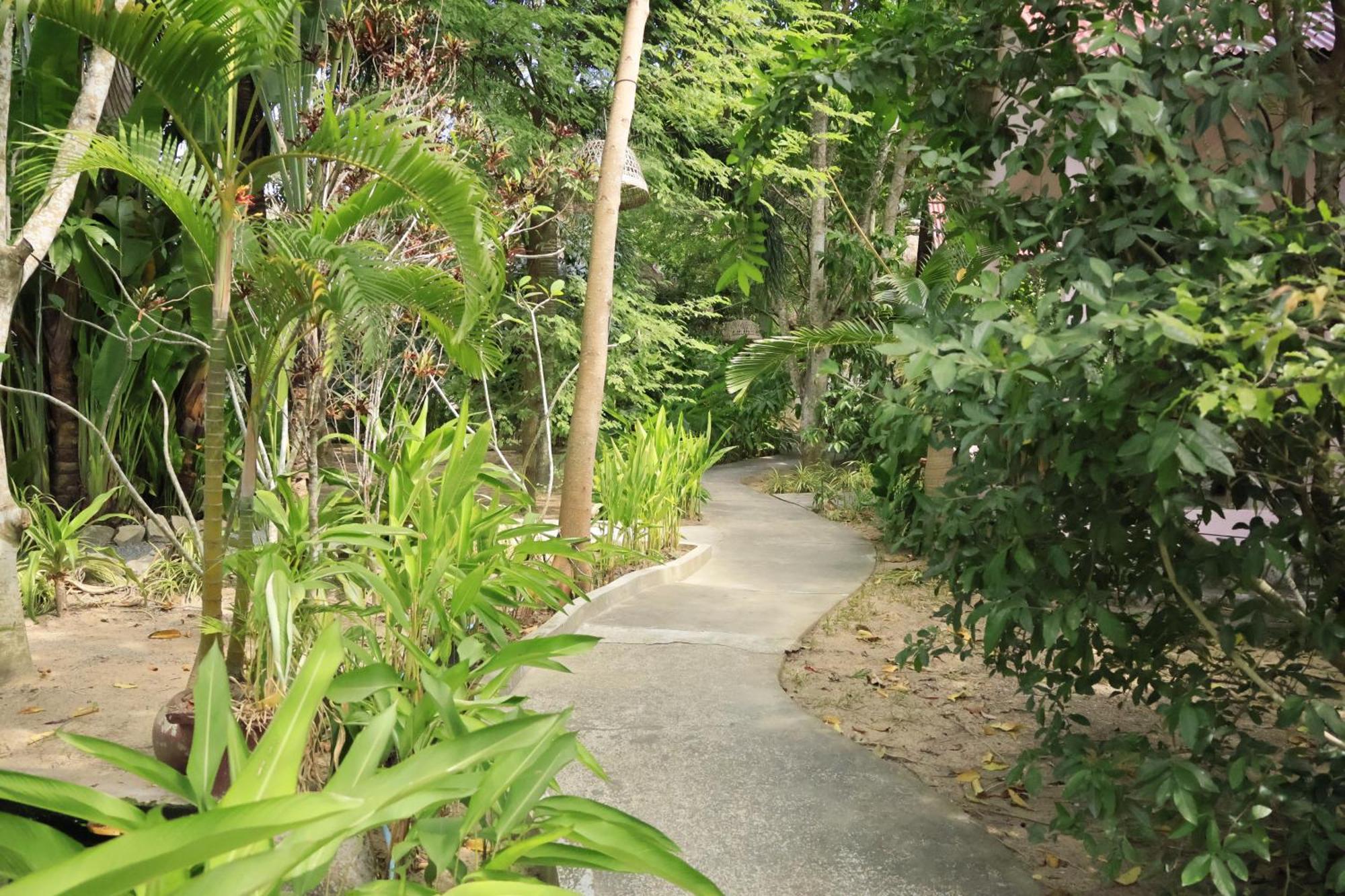 קפ Bird Of Paradise Bungalows מראה חיצוני תמונה