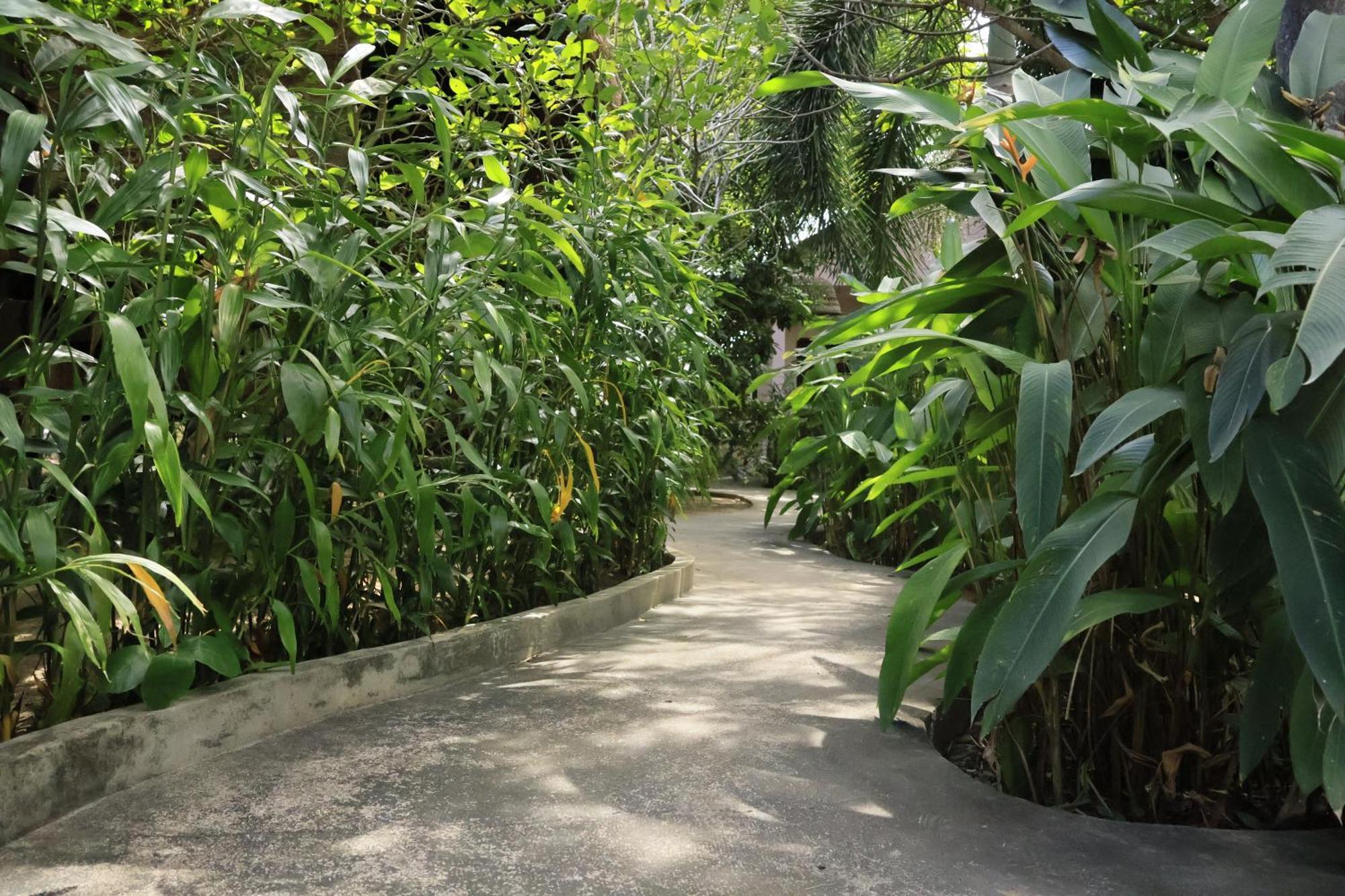 קפ Bird Of Paradise Bungalows מראה חיצוני תמונה